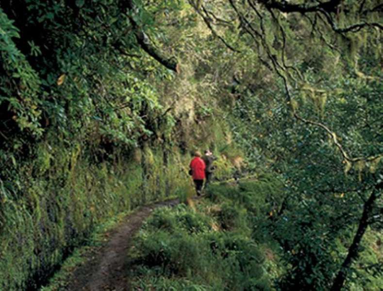 Dorisol Pousada Dos Vinhaticos Serra de Água Eksteriør bilde